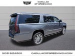2020 Cadillac Escalade ESV Platinum