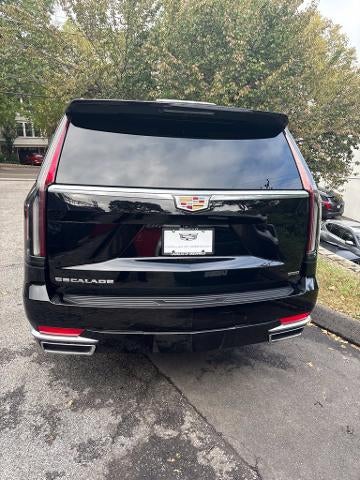2024 Cadillac Escalade ESV 4WD Premium Luxury