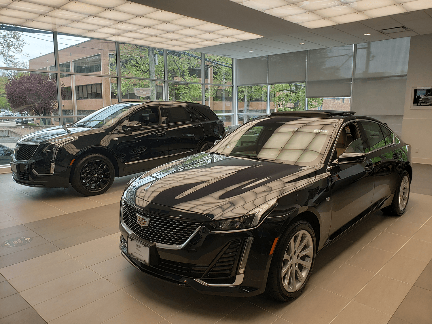Cadillac of Greenwich Showroom